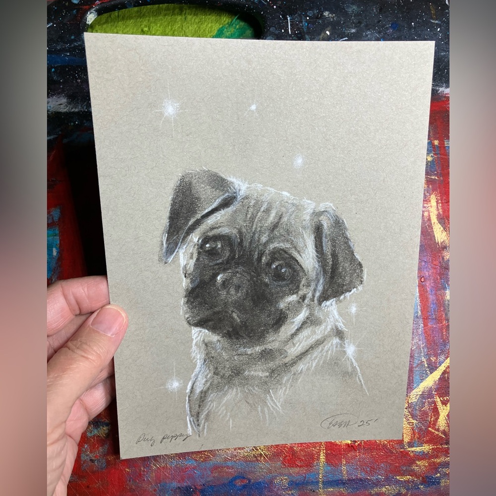 Pug puppy dog original painting charcoal pastel art new artwork black Artettina